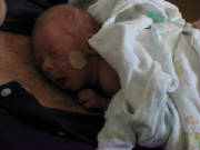 thursday11-4dadkangaroocaresloganondad.jpg
