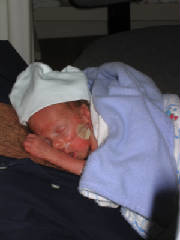 thursday11-4dadkangaroocaresloganondadshairychest.jpg